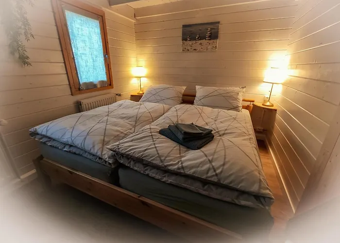 Turner 纽斯塔德勒维