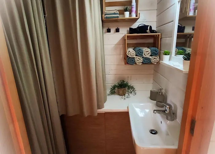 Turner * 纽斯塔德勒维